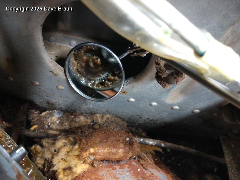 2020-09-27 16.51.28.jpg - Excess oil at the landing gear motor