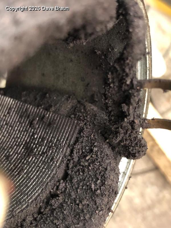 Kevin O'Halloran's clean up of Chip's Landing Gear Motor (3).jpeg