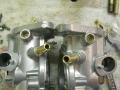 Carb bodies