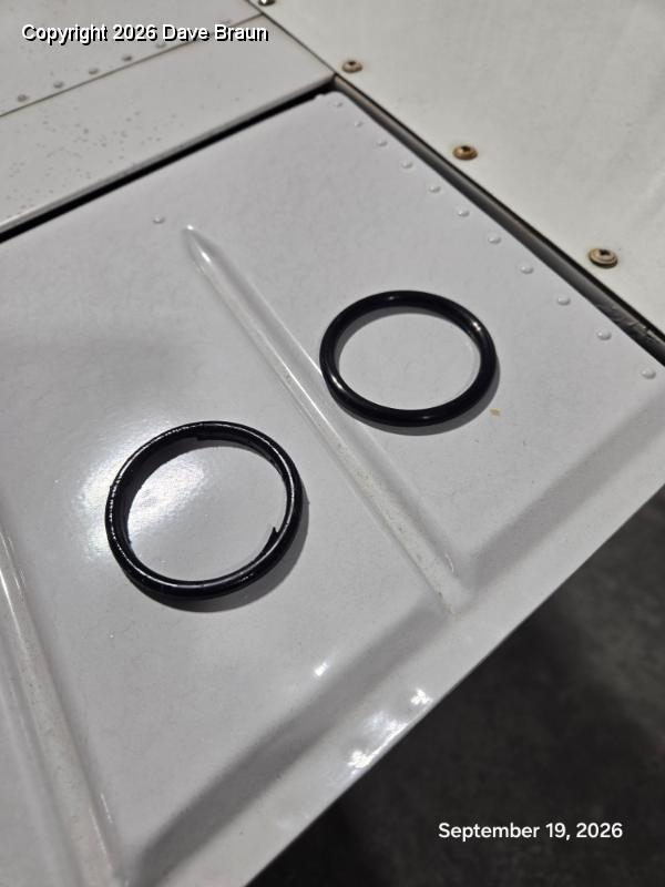 2026-09-19 11.32.49.jpg - The failed center O-ring, left, with the new O-ring, right.