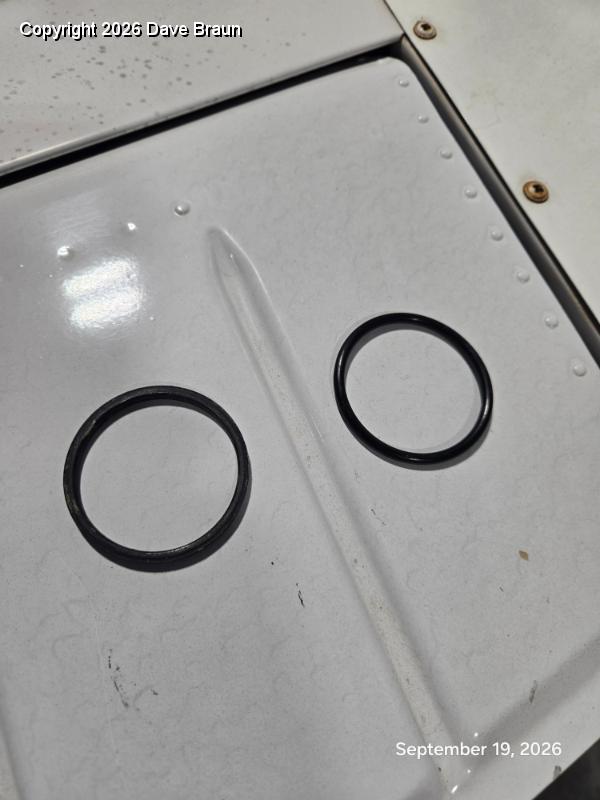 2026-09-19 12.27.45.jpg - The upper O-ring on the left, with its replacement on the right.