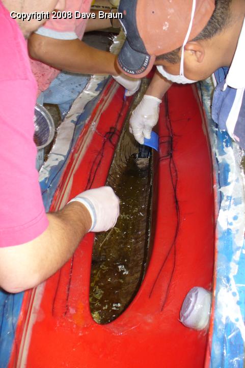 TT laying up cuff 1.JPG