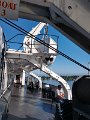 IMG_20190629_082356055_HDR